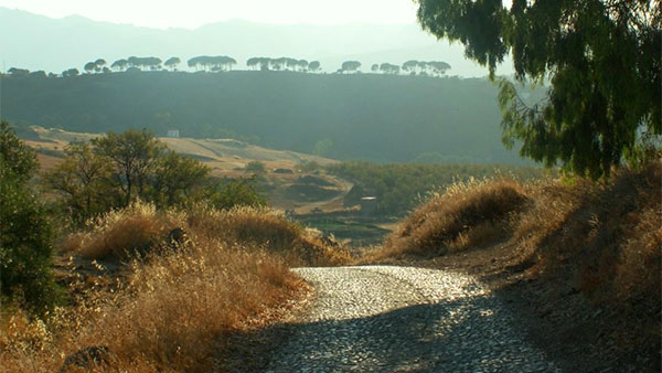 naturaleza interior